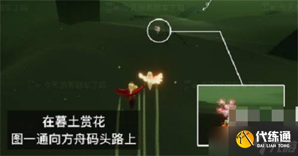 光遇2023花憩节赏花位置在哪里-2023花憩节赏花位置一览