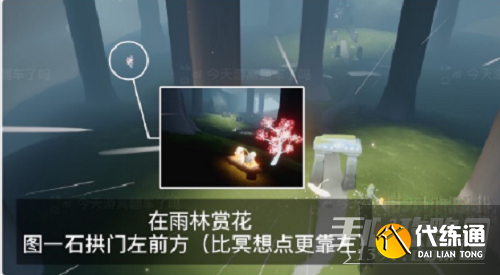 《光遇》花憩节赏花位置攻略2023