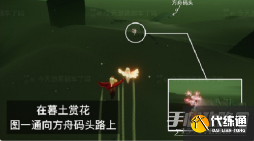 《光遇》花憩节赏花位置攻略2023