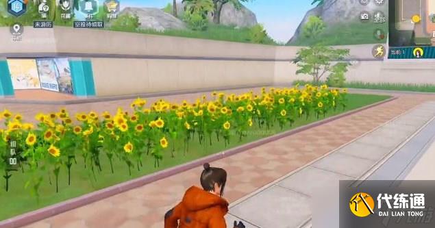 和平精英花圃在哪里 花圃位置及种子获取方法