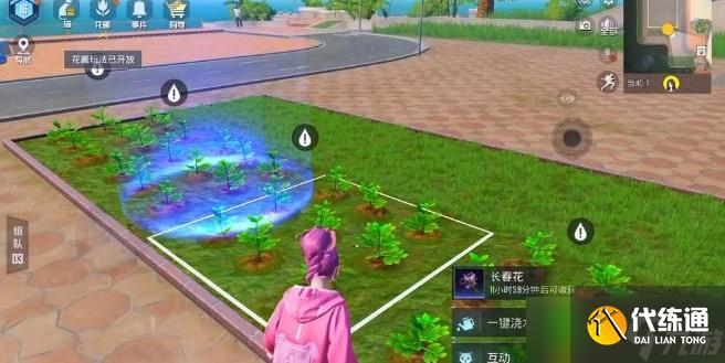 和平精英花圃在哪里 花圃位置及种子获取方法