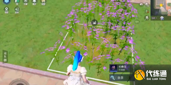 和平精英花圃种子在哪买 花圃种子获取方法介绍[多图]图片1