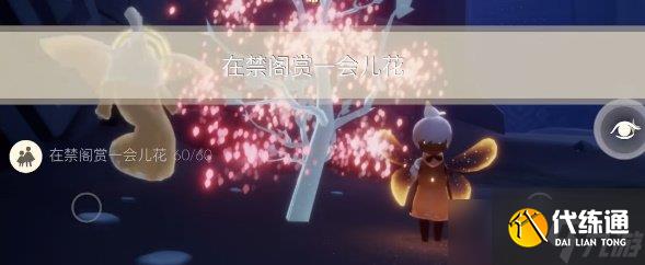 光遇4月7日每日任务攻略 光遇4月7日每日任务怎样完成