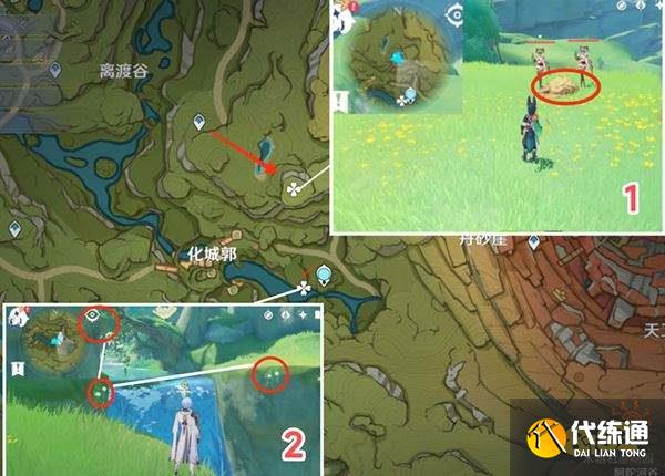 原神劫波莲在哪些地方可以获取 劫波莲详细购买采集路线图分享