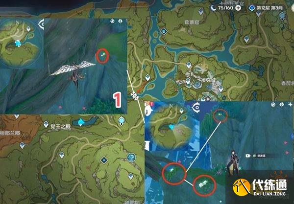 原神劫波莲在哪些地方可以获取 劫波莲详细购买采集路线图分享