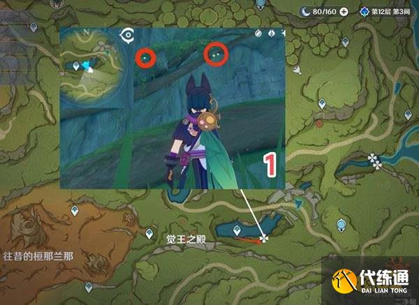 原神劫波莲在哪些地方可以获取 劫波莲详细购买采集路线图分享