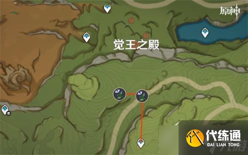《原神》3.6帕蒂沙兰采集位置汇总