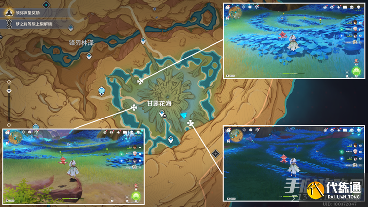 《原神》甘露花海净觉花解谜攻略