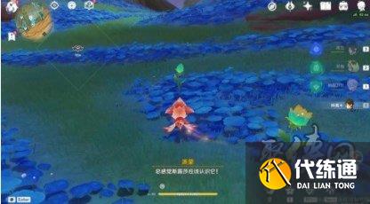 原神3.6隐藏任务净觉花领取方法 隐藏世界任务净觉花攻略加成就