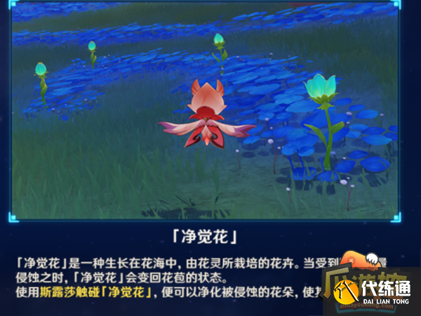 原神36个草神瞳采集路线图大全