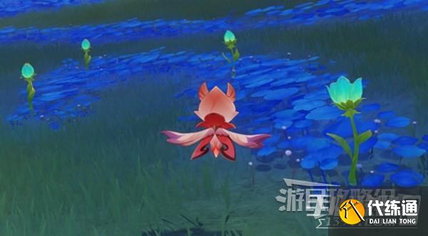 《原神》3.6净觉花位置及解谜方法介绍