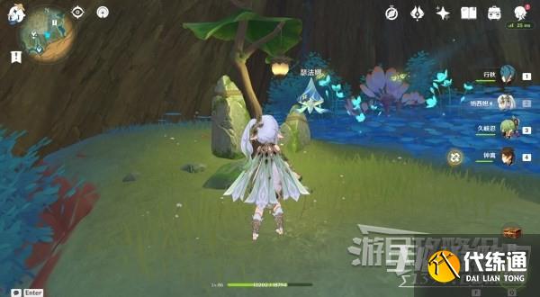 《原神》3.6净觉花位置及解谜方法介绍