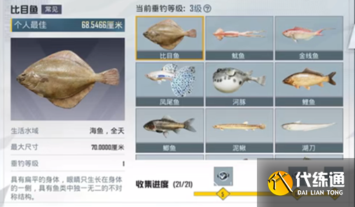 和平精英钓鱼大赛每天上限多少 钓鱼大赛每天钓鱼上限数量介绍[多图]图片1