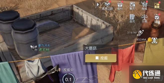 黎明覺醒生機大蘑菇藏寶圖位置坐標 大蘑菇藏寶圖在哪里