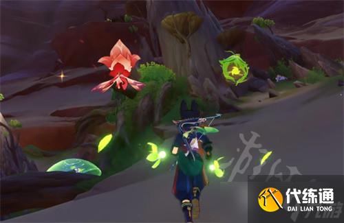 原神荼泥黑渊绿色罩子解谜攻略