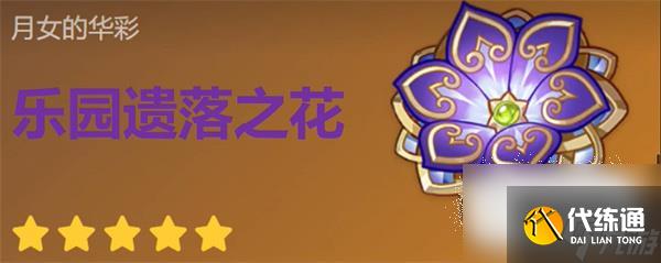 原神遗落之花圣遗物搭配选择