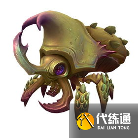 《魔兽世界》10.1宠物大全 《魔兽世界》10.1宠物大全