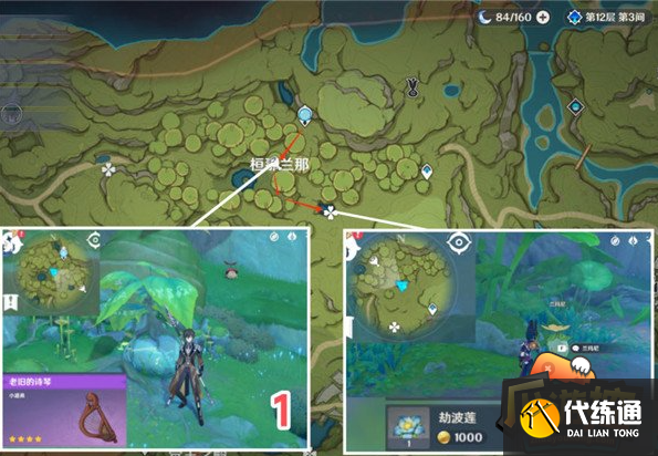 原神劫波莲位置地点及路线一览 原神劫波莲位置地点及路线一览