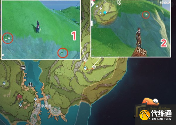 原神劫波莲位置地点及路线一览 原神劫波莲位置地点及路线一览