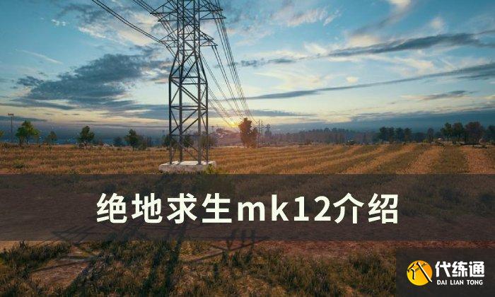 《绝地求生》mk12好用么 mk12详解