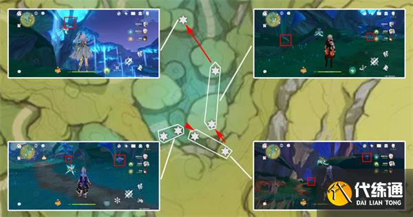 原神樹王圣體菇哪里采集