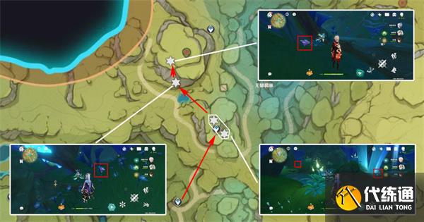 原神樹王圣體菇哪里采集