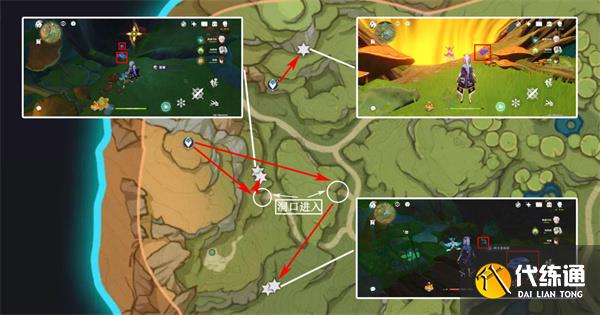 原神樹王圣體菇哪里采集