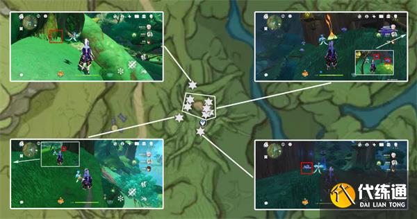 原神樹王圣體菇哪里采集