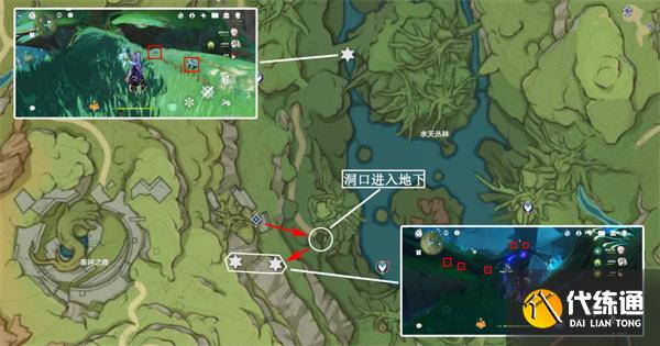 原神樹王圣體菇哪里采集