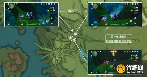 原神樹王圣體菇哪里采集