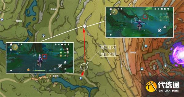 原神樹王圣體菇哪里采集