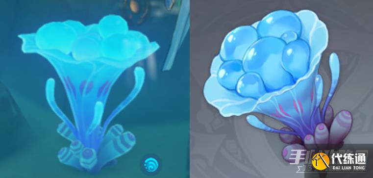 《原神》楓原萬葉突破材料海靈芝183個收集攻略 《原神》楓原萬葉突破材料海靈芝183個收集攻略