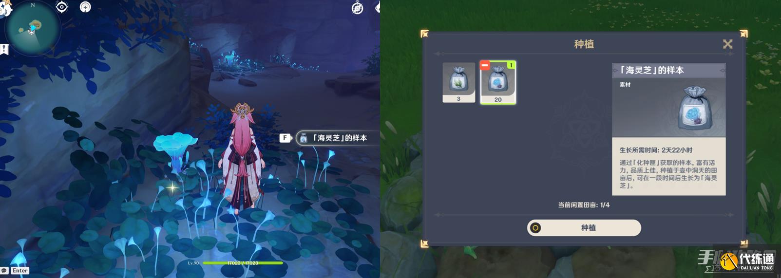 《原神》楓原萬葉突破材料海靈芝183個收集攻略 《原神》楓原萬葉突破材料海靈芝183個收集攻略