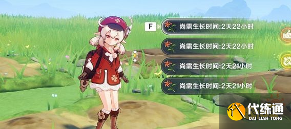 原神風(fēng)車菊在哪采集 風(fēng)車菊采集位置分布圖