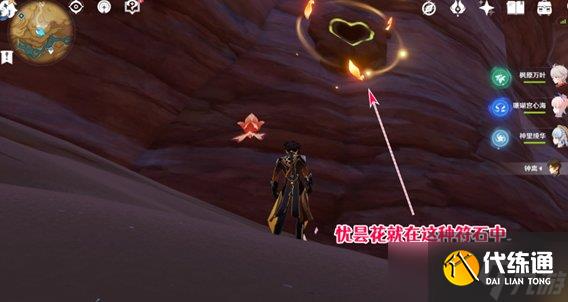 《原神》优昙花的花蕊怎么获得 优昙花花蕊怎么采集