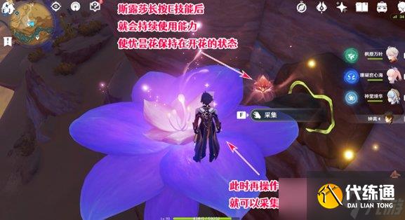 《原神》优昙花的花蕊怎么获得 优昙花花蕊怎么采集