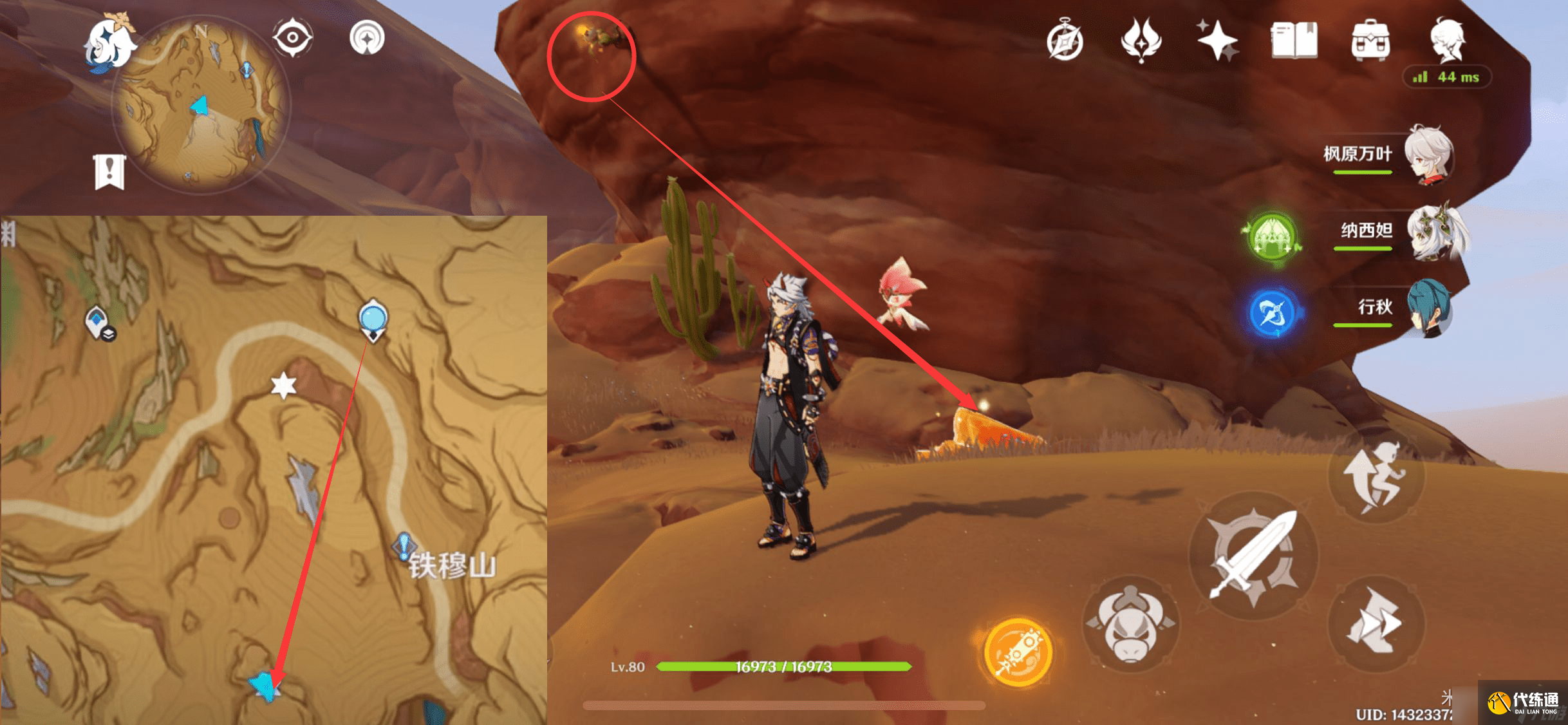 原神苦離果在哪里-原神苦離果位置一覽