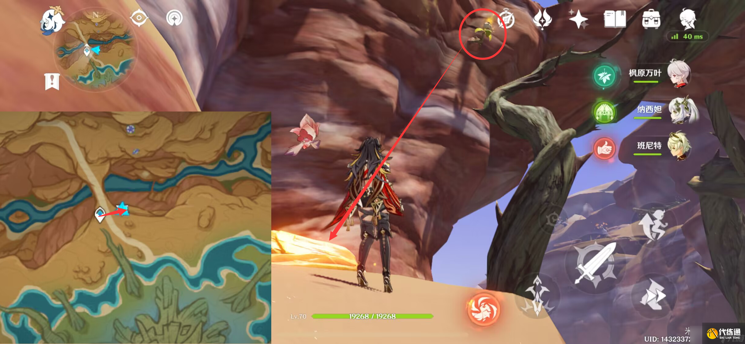 原神苦離果在哪里-原神苦離果位置一覽