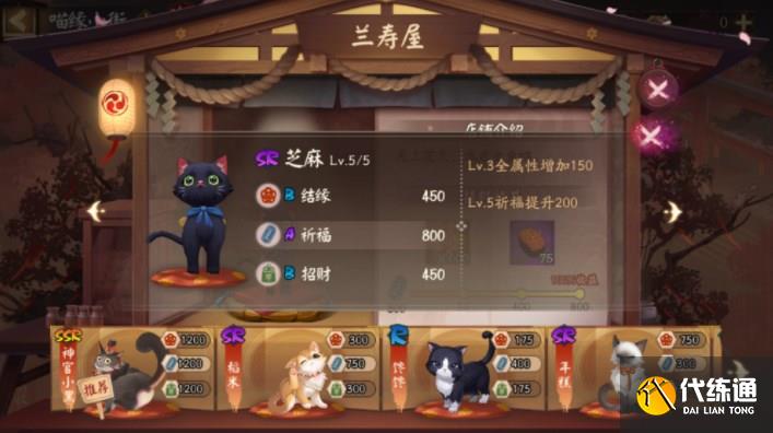 阴阳师喵缘小街猫咪怎么选 喵缘小街猫咪选择推荐[多图]图片5