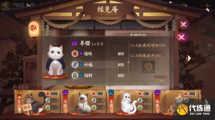 阴阳师喵缘小街猫咪怎么选 喵缘小街猫咪选择推荐[多图]图片1