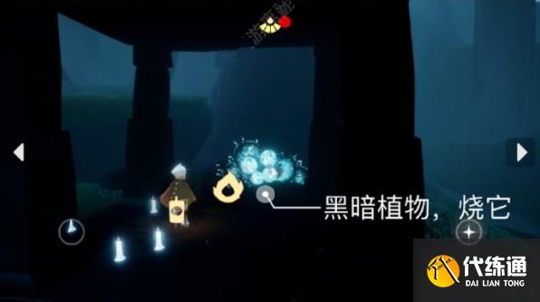 光遇7.29任务怎么完成 2023年7月29日每日任务攻略[多图]图片3