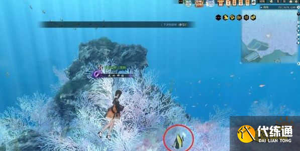 逆水寒手游南海探秘活動八天攻略大全 南海探秘活動怎么玩