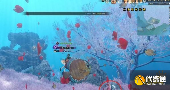逆水寒手游南海探秘活動八天攻略大全 南海探秘活動怎么玩