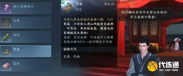 《逆水寒手游》雨与鱼任务攻略