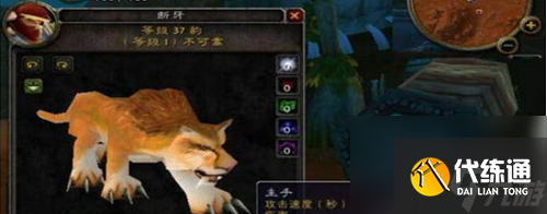 魔兽世界60猎人必带3只宝宝是什么 魔兽世界60猎人必带3只宝宝分享