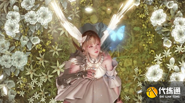 命运方舟私语小岛妮娜芙在哪 私语小岛妮娜芙位置分享[多图]图片4