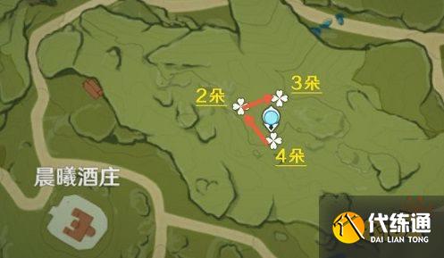 原神風車菊采集地點位置有哪些 風車菊收集路線圖