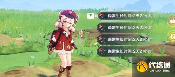 原神風車菊采集地點位置有哪些 風車菊收集路線圖