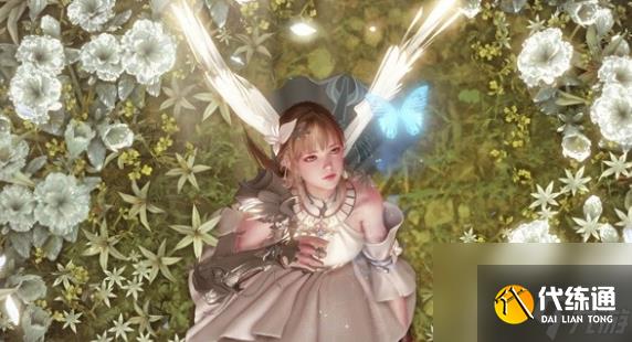 命运方舟妮娜芙在哪 命运方舟妮娜芙位置