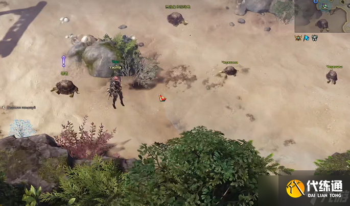 命运方舟乌龟岛之心怎么获得